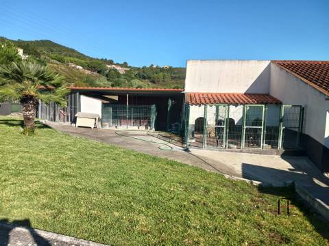 Quinta T2 Venda em Alhandra, São João dos Montes e Calhandriz,Vila Franca de Xira