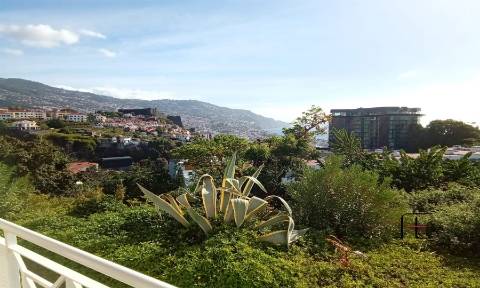 Apartamento T3 Venda em Funchal (São Pedro),Funchal