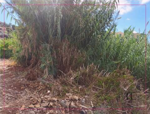 Lote de Terreno  Venda em São Roque,Funchal