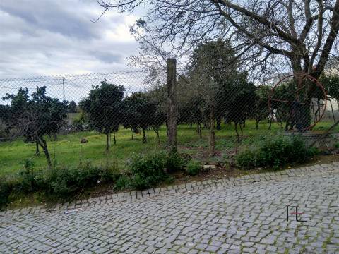 Terreno Rústico  Venda em Custóias, Leça do Balio e Guifões,Matosinhos