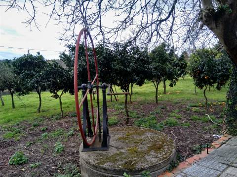 Terreno Rústico  Venda em Custóias, Leça do Balio e Guifões,Matosinhos