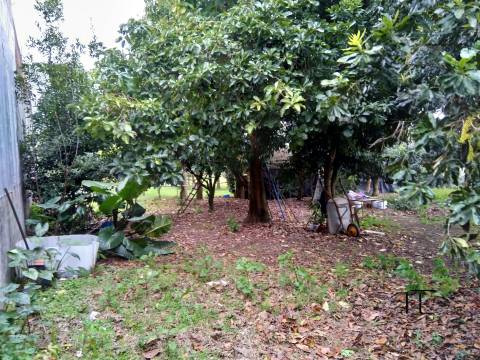 Terreno Rústico  Venda em Custóias, Leça do Balio e Guifões,Matosinhos