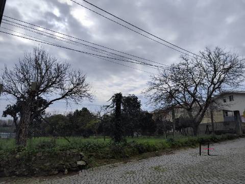 Terreno Rústico  Venda em Custóias, Leça do Balio e Guifões,Matosinhos