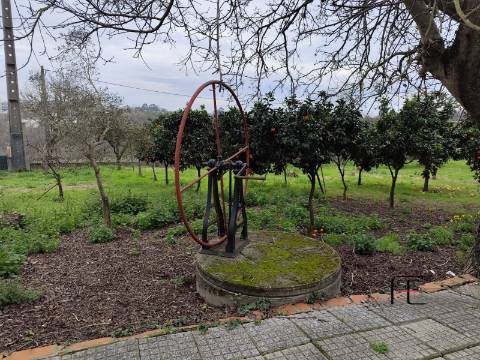 Terreno Rústico  Venda em Custóias, Leça do Balio e Guifões,Matosinhos