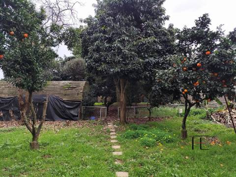 Terreno Rústico  Venda em Custóias, Leça do Balio e Guifões,Matosinhos
