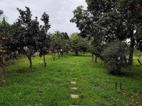 Terreno Rústico  Venda em Custóias, Leça do Balio e Guifões,Matosinhos