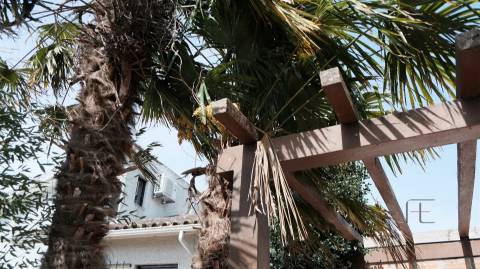 Moradia Isolada T3+1 Venda em Ílhavo (São Salvador),Ílhavo