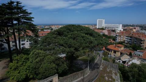 Apartamento T0+1 Venda em Mafamude e Vilar do Paraíso,Vila Nova de Gaia