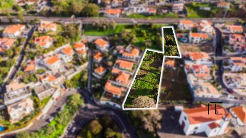 Terreno Rústico  Venda em Funchal (Santa Maria Maior),Funchal