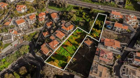 Terreno Rústico  Venda em Funchal (Santa Maria Maior),Funchal