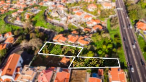 Terreno Rústico  Venda em Funchal (Santa Maria Maior),Funchal