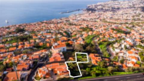 Terreno Rústico  Venda em Funchal (Santa Maria Maior),Funchal