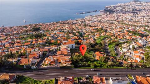 Terreno Rústico  Venda em Funchal (Santa Maria Maior),Funchal