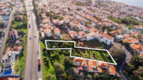 Terreno Rústico  Venda em Funchal (Santa Maria Maior),Funchal