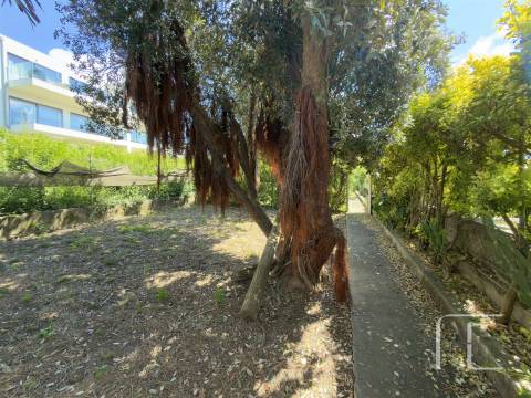 Moradia Isolada T3 Venda em Madalena,Vila Nova de Gaia
