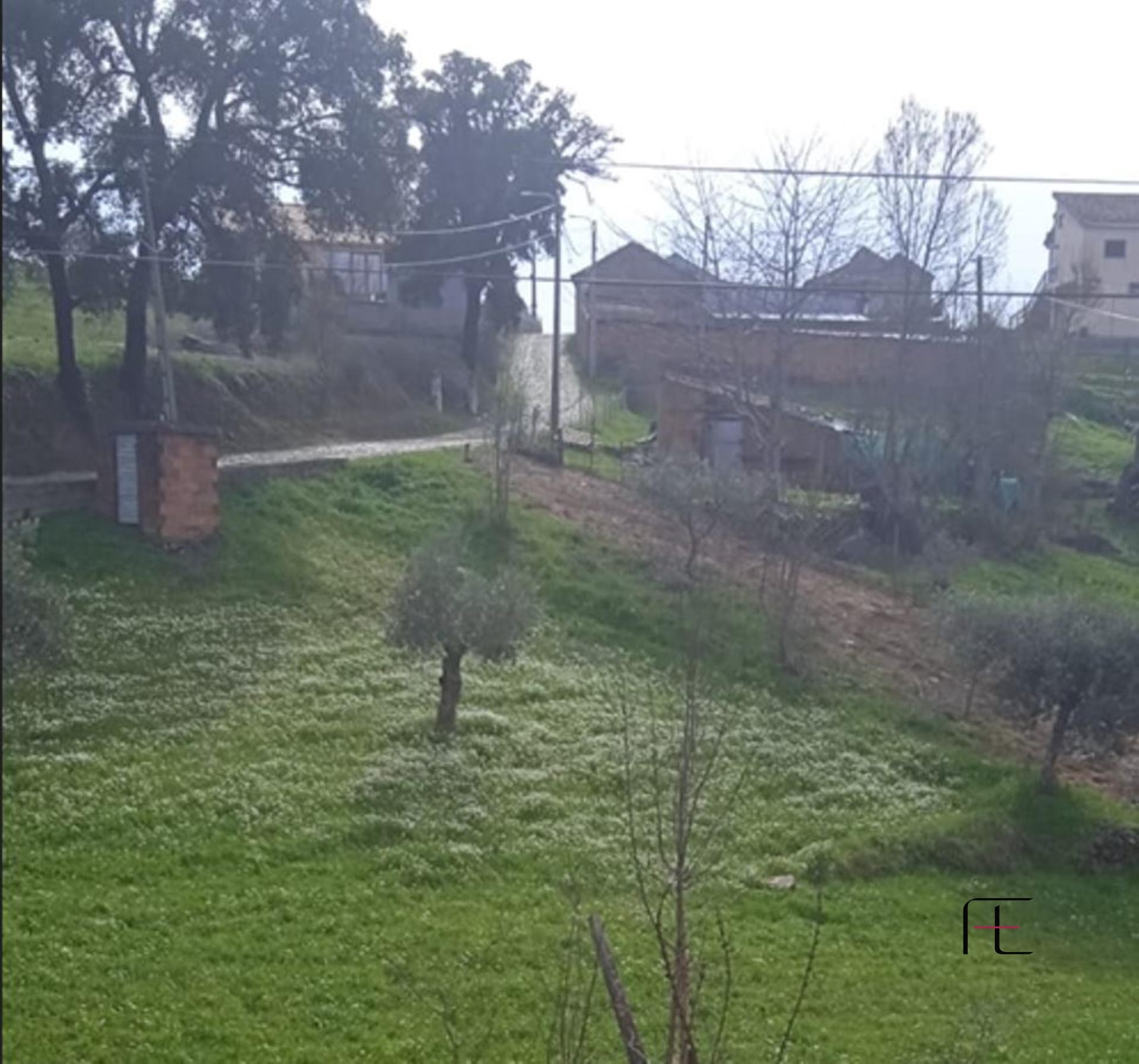 Moradia para Restaurar T4 Venda em Murça,Murça