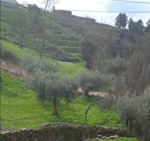 Moradia para Restaurar T4 Venda em Murça,Murça