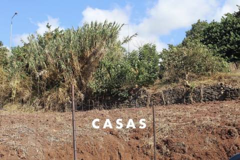 Terreno  Venda em Santo António,Funchal