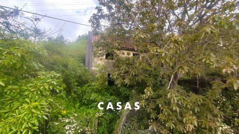 Moradia tradicional Madeirense num Lote de Terreno urbano com 830 m2