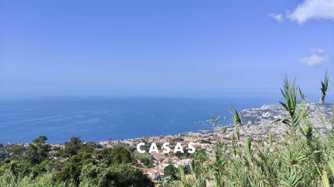 Moradia tradicional Madeirense num Lote de Terreno urbano com 830 m2