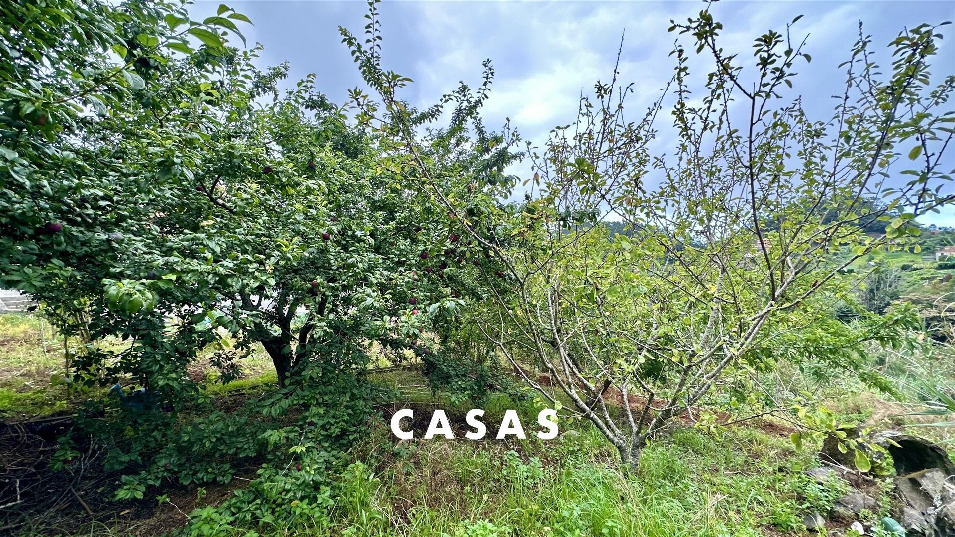 Lote de Terreno com 2.950 m² com duas frentes de estrada em Santana