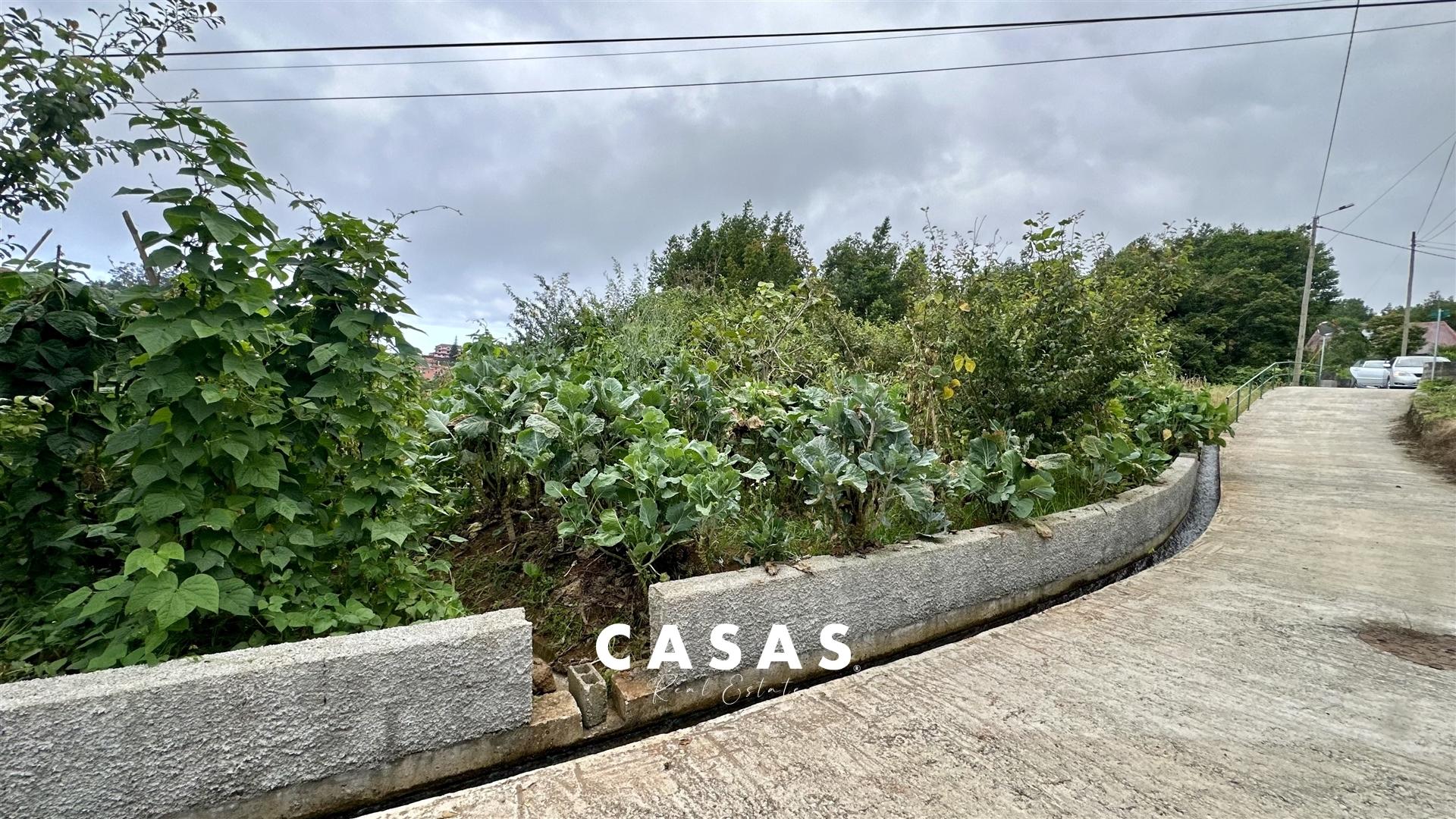 Lote de Terreno com 2.950 m² com duas frentes de estrada em Santana