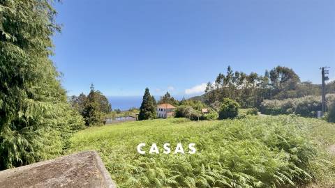 Lote de Terreno  Venda em Santo António da Serra,Santa Cruz