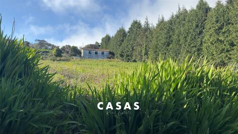 Lote de Terreno  Venda em Santo António da Serra,Santa Cruz