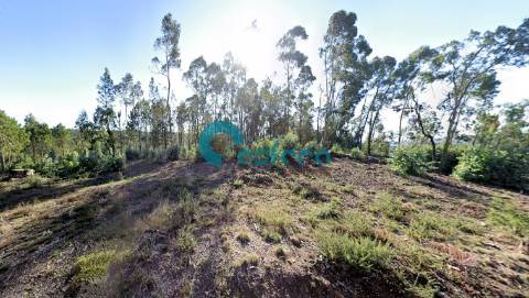 Terreno para construção, Sanguedo, Santa Maria da Feira - 70.000,00€