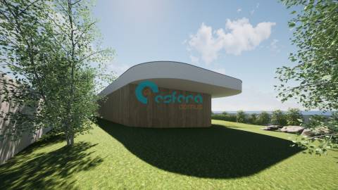 Terreno com projeto aprovado - Canedo, Vale e Vila Maior - €110.00,00