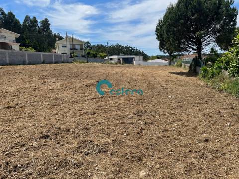 Terreno com projeto aprovado - Canedo, Vale e Vila Maior - €110.00,00