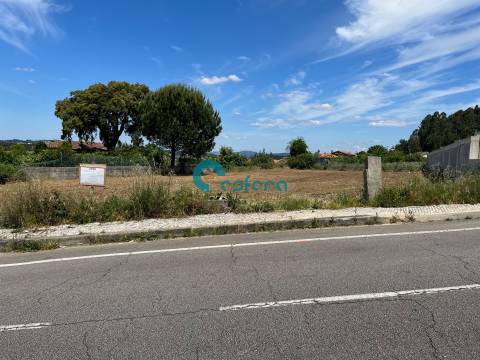 Terreno com projeto aprovado - Canedo, Vale e Vila Maior - €110.00,00