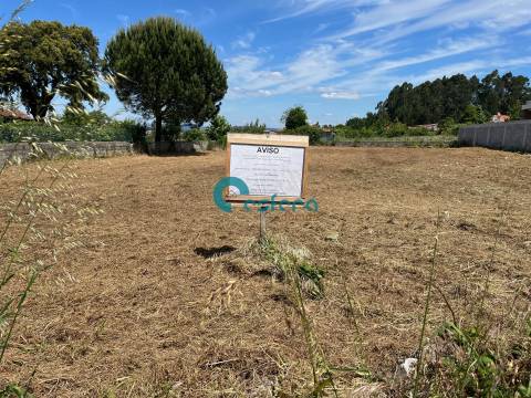 Terreno com projeto aprovado - Canedo, Vale e Vila Maior - €110.00,00