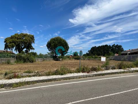 Terreno com projeto aprovado - Canedo, Vale e Vila Maior - €110.00,00