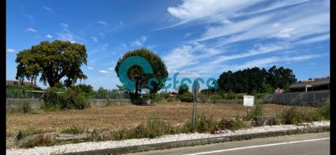 Terreno com projeto aprovado - Canedo, Vale e Vila Maior - €110.00,00