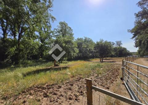 Quinta T4 Venda em Azeitão (São Lourenço e São Simão),Setúbal