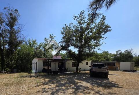 Quinta T4 Venda em Azeitão (São Lourenço e São Simão),Setúbal