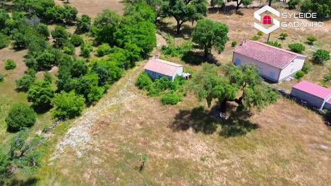 Terreno com casa agrícola para VENDA em São Miguel de Acha