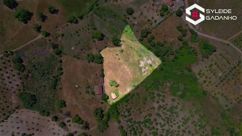 Terreno com casa agrícola para VENDA em São Miguel de Acha