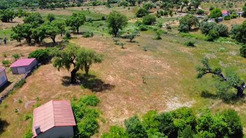 Terreno com casa agrícola para VENDA em São Miguel de Acha