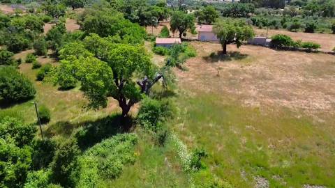 Terreno com casa agrícola para VENDA em São Miguel de Acha