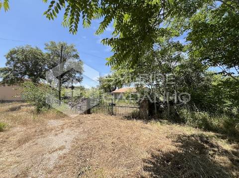 Terreno com casa agrícola para VENDA em São Miguel de Acha