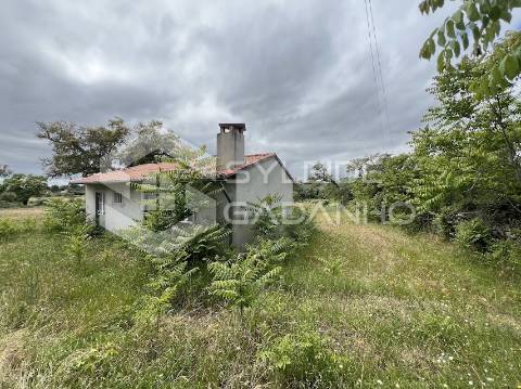 Terreno com casa agrícola para VENDA em São Miguel de Acha