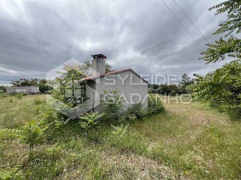 Terreno com casa agrícola para VENDA em São Miguel de Acha