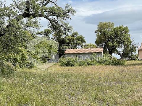 Terreno com casa agrícola para VENDA em São Miguel de Acha