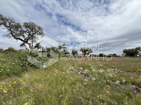 Terreno com casa agrícola para VENDA em São Miguel de Acha
