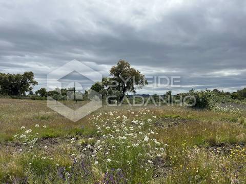 Terreno com casa agrícola para VENDA em São Miguel de Acha