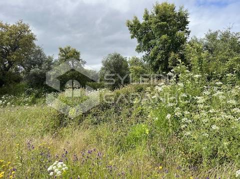 Terreno com casa agrícola para VENDA em São Miguel de Acha