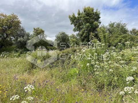Terreno com casa agrícola para VENDA em São Miguel de Acha