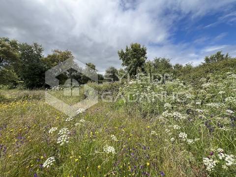 Terreno com casa agrícola para VENDA em São Miguel de Acha
